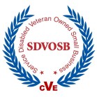 SDVOSB-logo-3